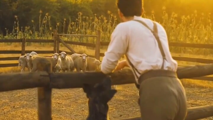 Pemuda miskin jatuh cinta dengan wanita panggilan kelas atas di kota kecil; akhirnya berhasil memper