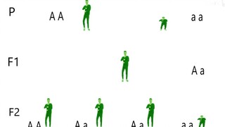 سيد علم الوراثة