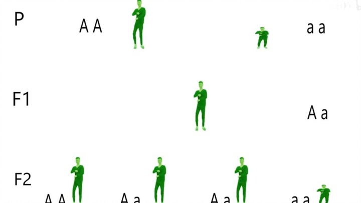 Chủ nhân của Di truyền học