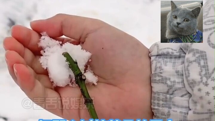 Cepat tag sahabatmu biar dia yang buatin buatmu!