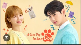 A GOOD DAY TO BE A DOG TAGALOG EP07