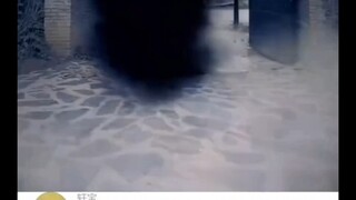 雕虫小技竟敢班门弄斧大威天龙！