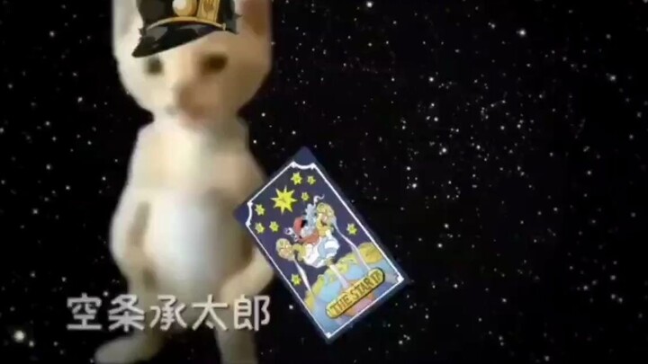 Giới thiệu nhóm nhân vật chính của Jojo's Bizarre Adventure Star Fighters