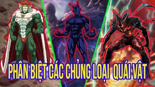 Phân Biệt Các Chủng Loại Quái Vật Trong ONE PUNCH MAN