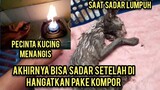 Astagfirullah Kucing Liar Ini Pingsan di Got Kedinginan Infonya Karena Ketabrak Kakinya Lumpuh..!