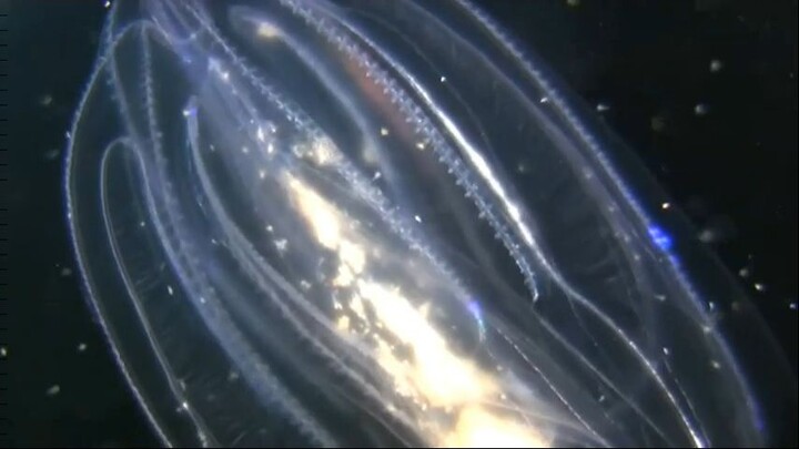 si tu sabes que es ,ya es muy tarde