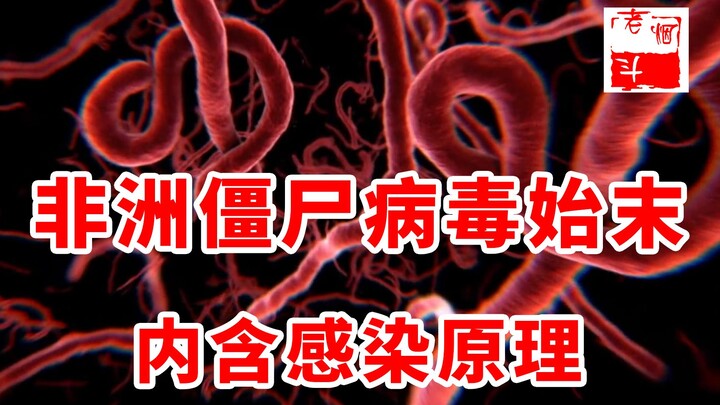 The 1976 'Zombie Virus' Incident! Biosafety Level 4: How terrifying is Ebola, surpassing AIDS and pl