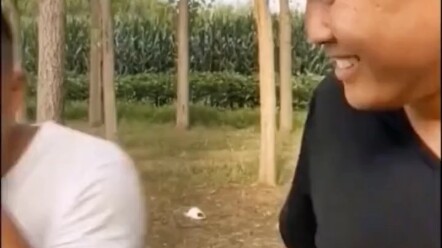 话不多说，你懂的