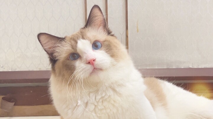 The sun always shines after the storm—may everyone who watches this video find their own bright moon