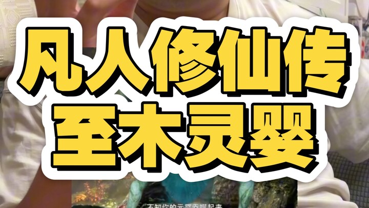 Cultivation of the Immortal, with the reappearance of the Wood Spirit Infant, Xiao Erhei begins pre-