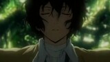 [High energy in front / Bungo Stray Dog mixed cut] In the name of a writer, go to the wild dog