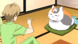 [ Natsume's Book of Friends ] Mr. Neko is furious, hahahahahaha