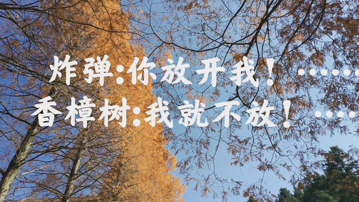 当年想炸毛主席而被一棵千年香樟树卡住没法爆炸的那颗炸弹，现在怎么样了？