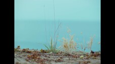 Như Hoa Trên Cát EP 12 [Sub Việt]