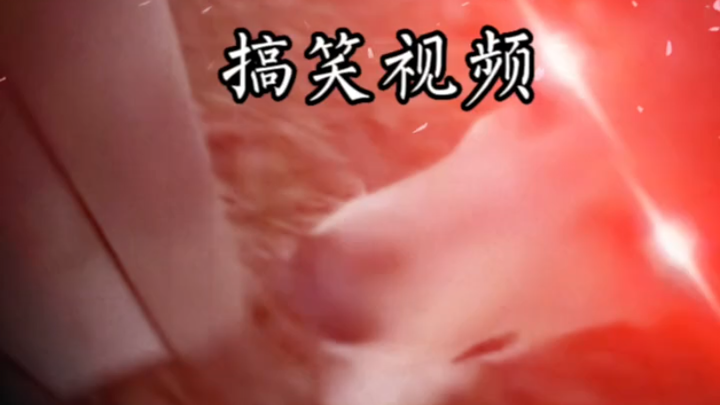 Chó con: Bạn đang đùa tôi à