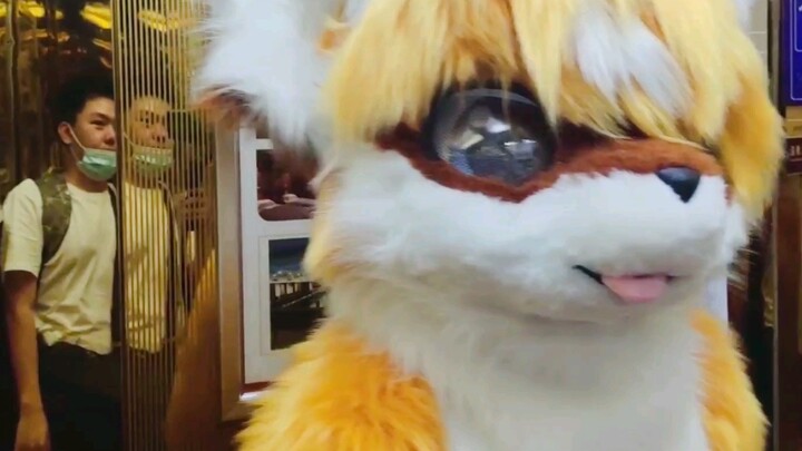 When you were the only Mao Mao at the Comic Con (1)