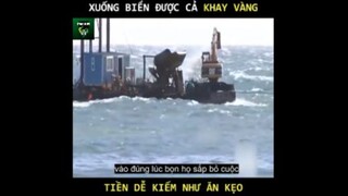 REVIEW PHIM : ĐÀO VÀNG