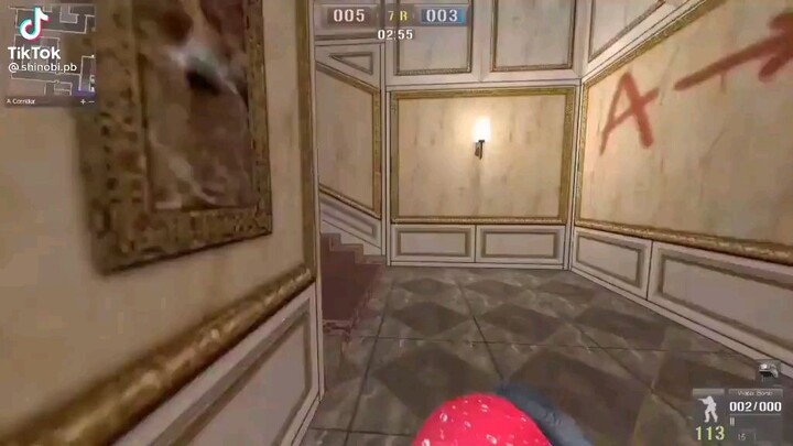 contoh anak anjing ygy