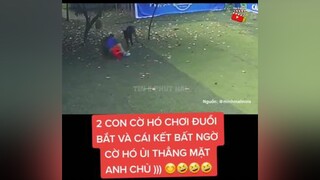 2 Con Cờ Hó Chơi Đuổi Bắt Và Cái Kết Ủi Thẳng Mặt Anh Chủ ))) 🤣🤣🤣🥰 xuhuongtiktok  haihuoc  haitiktok  cuoibebung