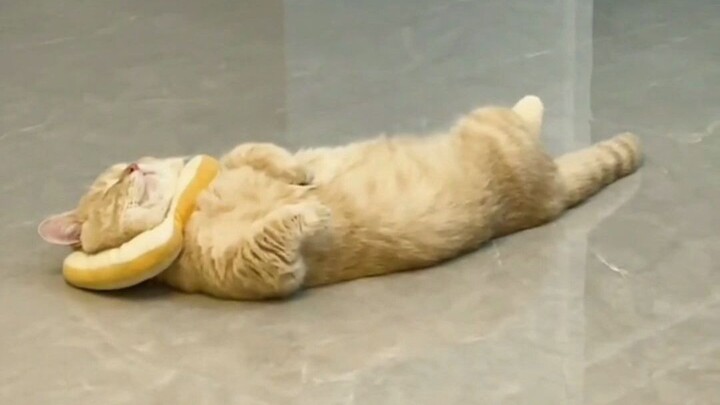 يبدو أنك تركل ساقيك بارتياح تام!