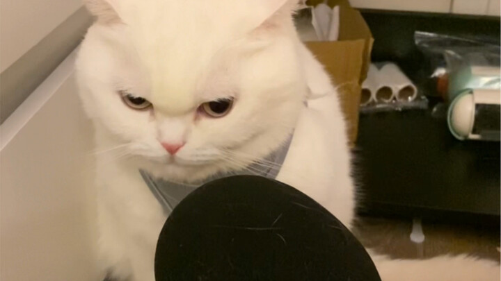 Sassy: The shot’s great—don’t take any more next time.