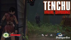 Small Area But a lot of Guard - Tenchu Fatal Shadow #08