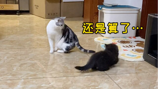 Keduanya tidak terlalu akrab satu sama lain...