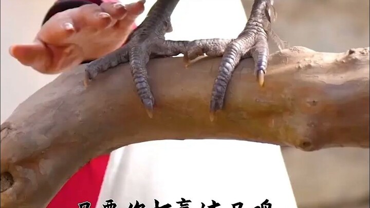 So This Is the Real Hero!