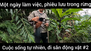 Cuộc sống tự nhiên trong rừng đi săn động vật