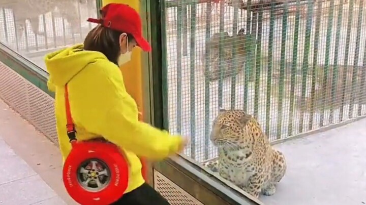 "Disko biasa, rock biasa kita"