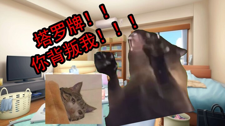 【猫meme】关于我算到了朋友被人陷害了这件事
