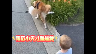幼崽们的模仿秀合集