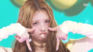 HITGS HAPPY Performance
