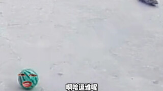 This one instantly maxed out the gear.