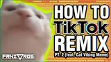 How to TIKTOK REMIX [Part 2] (feat. Cat Vibing Meme) | frnzvrgs 2 Tutorials