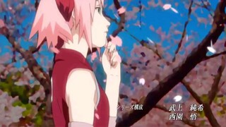 DISTANCE (Naruto: Shippuden Opening 2)