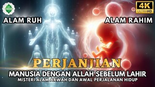 Apa yang Terjadi di Alam Ruh Dan Alam Rahim?