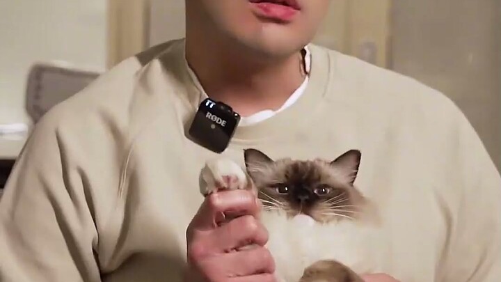 Demon Lord Zhonglou lightsaber transformation challenge is here! I did my best—was this what you wan