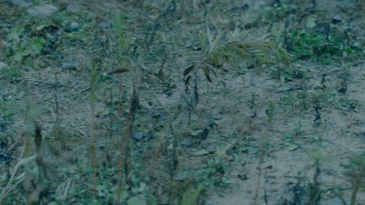 sanctioning of evil(hd)2022