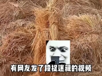 有趣的灵魂万里挑一