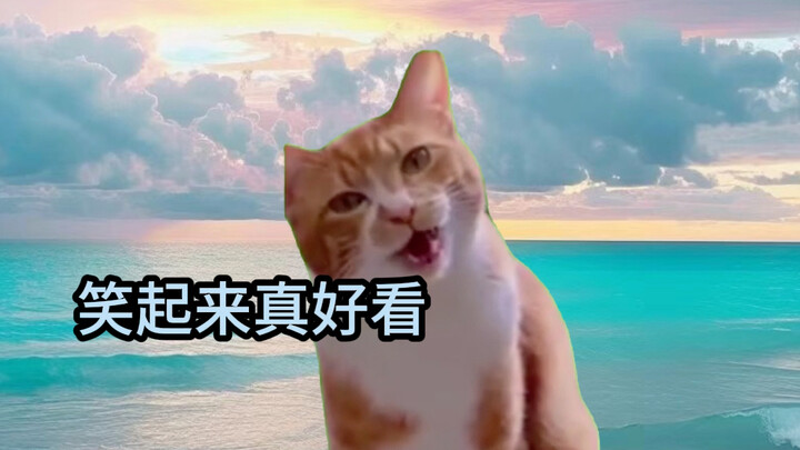 หยุดชั่วคราวหน่อย สุนัขตัวเล็กมีอะไรจะพูด