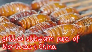 grilled silkworm pupa of Northeast China