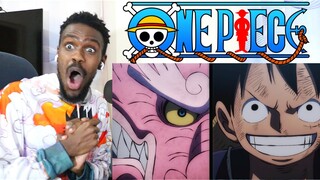 MOMONOSUKE IS A TRUE DRAGON NOW!!! ONE PIECE EPISODE 1047 REACTION VIDEO!!!