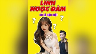 Mèo Ragdoll của Hotgirl Streamer Linh Ngọc Đàm có gì hot? LearnOnTikTok tuitienpet education pet thucung esm dcgr linhngocdam ragdoll