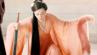 【كتاب على الوسادة】 فنغ جيو يقطع يده في كتاب على الوسادة وتشينغ تشينغ يقطع ذيله في زهرة المشمش十里