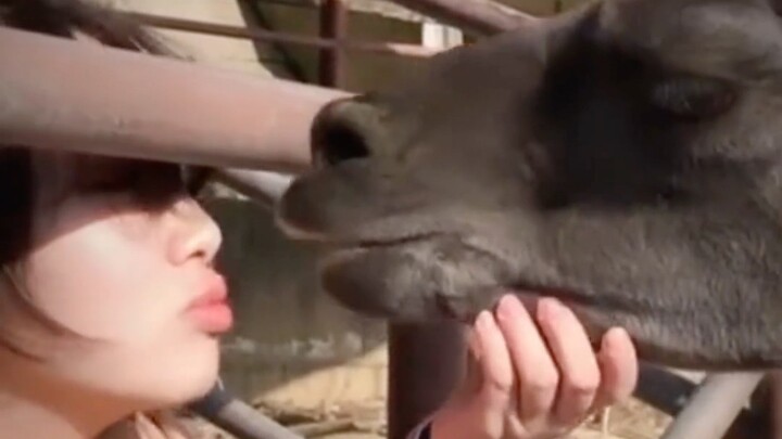 Oh no, today’s good karma is gone again—laughing my head off! • 39