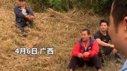 Seluruh keluarga naik gunung untuk berziarah, baru sadar setelah memotong rumput bahwa mereka salah 