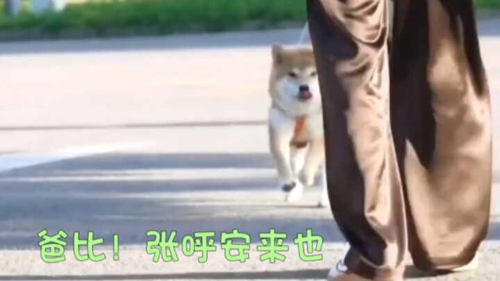 ในสายตาอันมุ่งมั่นของจางหูอันมีเพียงพ่อเท่านั้น!!