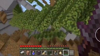 The most difficult heartbeat in history: Water Cube