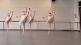[Shanghai Dance School] Ballet version of "Compendium of Materia Medica", cute and high-energy full 